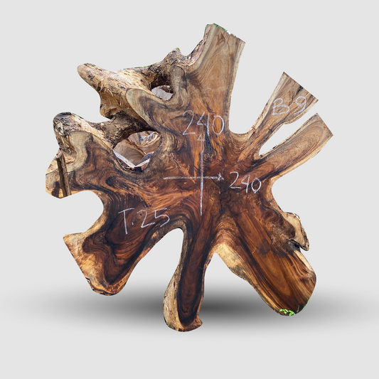 [Top Only] Customized Size Coffe Root Star Table Suar Wood | Monkeypod Table