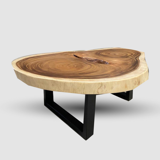 Round Solid Suar Wood Coffee Table with Black Steel Legs | Live Edge Monkeypod