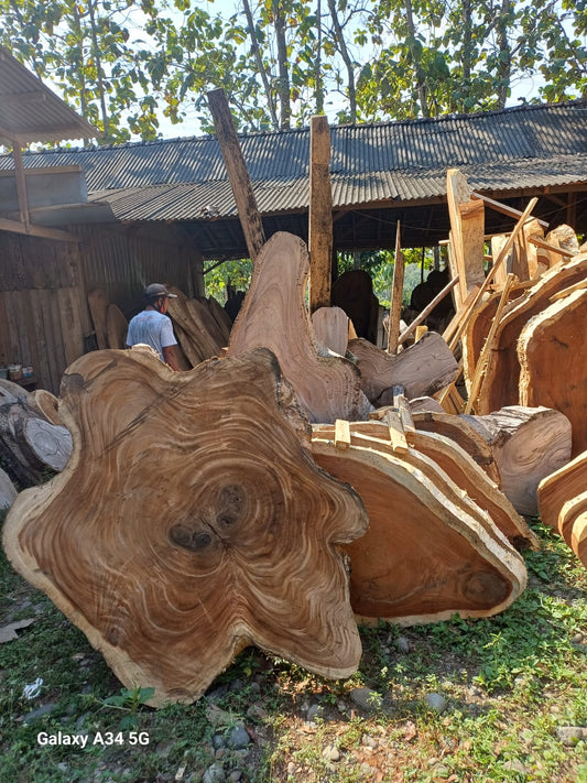 [Top Only] Customized Size Coffe Root Star Table Suar Wood | Monkeypod Table